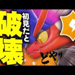 【新型登場】またまたコライドンが強くなってしまった………。【ポケモンSV】