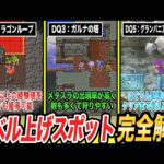 【ドラクエ1~5】絶対に行くべき‼レベル上げに最適な経験値稼ぎスポット9選