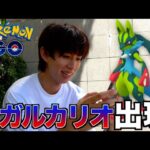 【ポケモンGO】メガルカリオ新実装！カッコ良すぎる…色違い来い！