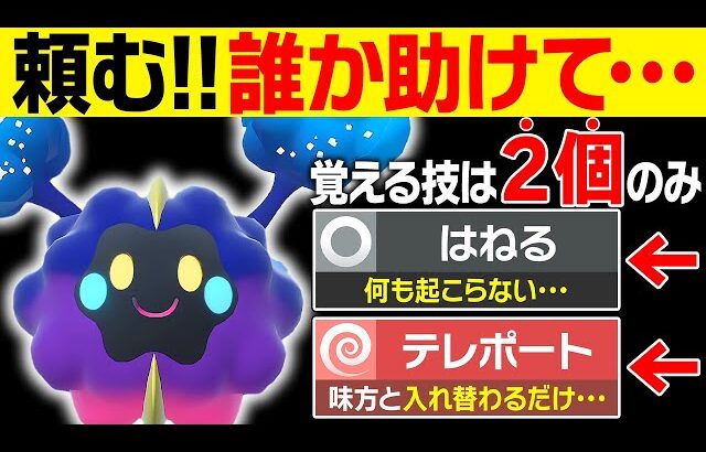 【抽選パ】伝説なのに覚える技が2個しかないコスモッグを対戦で活躍させるの無理ゲーすぎる。。。 #104-2【ポケモンSV/ポケモンスカーレットバイオレット】