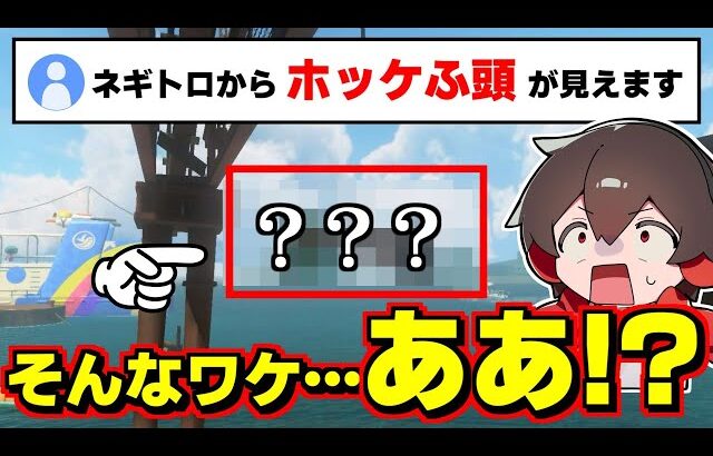 あの伝説的なステージがネギトロ炭鉱から見えると聞いて調べたら今まで知らなかったものを見つけました【スプラトゥーン3】【スプラ3】スプラ小ネタ