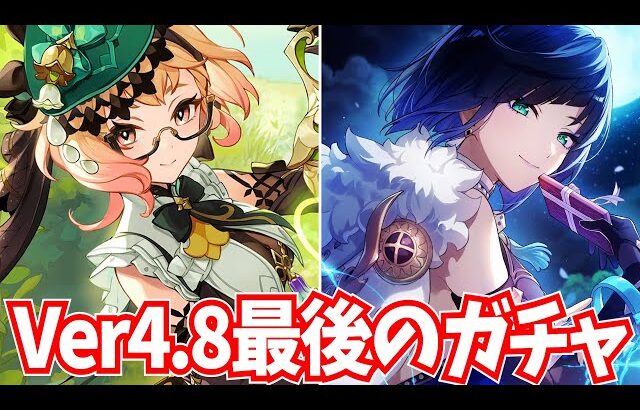 ついにエミリエ性能判明！エミリエ＆夜蘭復刻のガチャは引くべきか【原神Live】