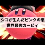 【スマブラSP】いま大注目のメキシコ勢!?圧倒的な超火力コンボを叩き込む世界最強カービィ【Guilheww カービィ/選手紹介/ハイライト】