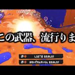 このブキ使ってる人は流石です。正直全部これで終わります。【Splatoon3】