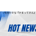 広末涼子「うちの小さな『かまってさん』」家族のかわいい足元を披露「顔見せてほしい…