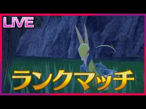 うまぶりジャローダとうまぶるランクマ(～1位)【ポケモンSV】