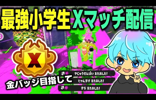 新シーズン何か来る！？【#スプラトゥーン3 #splatoon3 スプラ3】