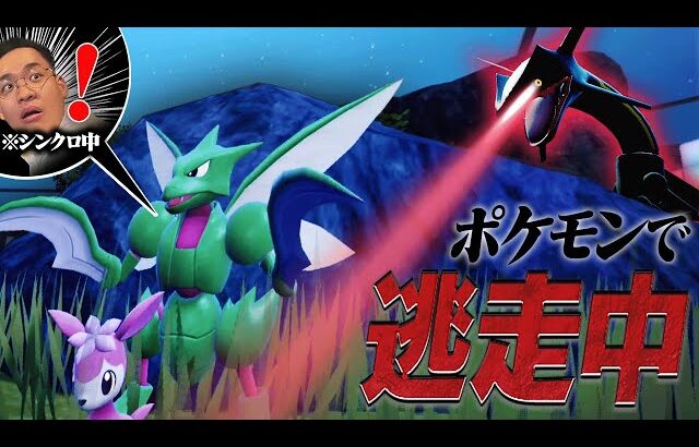 黒レックウザから30分間逃げ切れ。ポケモン廃人版「逃走中」開幕！