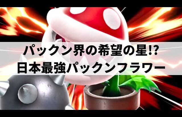 【スマブラSP】いま大注目の最強パックンフラワーが限界を超えた超絶プレーを魅せる【たす パックンフラワー/選手紹介/好プレー集/ハイライト】