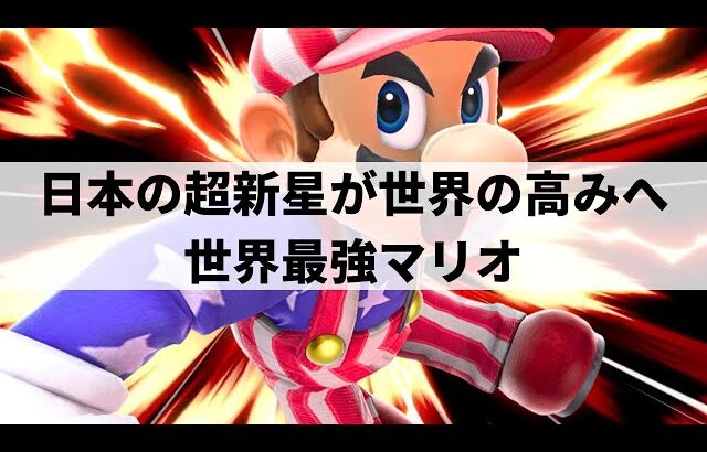 【スマブラSP】いま大注目の世界最強マリオが即死コンボ連発の超絶プレーを魅せる【スノー マリオ/選手紹介/好プレー集/ハイライト/#2】