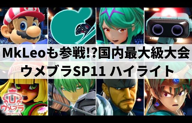 【スマブラSP】新時代を担う強豪が大集結!!国内最大級規模の超大型大会”ウメブラSP11″ハイライト【大会ハイライト】