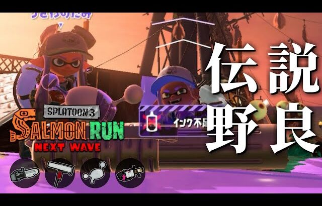 ヴァリアブルに泣いてノヴァブラスターで笑うトキシラズ野良【スプラトゥーン3/サーモンランNEXTWAVE】