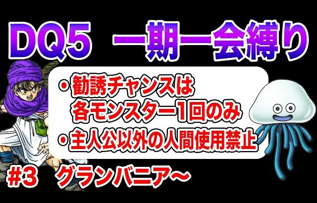 【しびれんありがとう】PS2版ドラクエ5 一期一会縛り その3