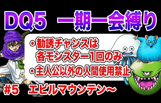 【マウスお前やれるのか】PS2版ドラクエ5 一期一会縛り その5