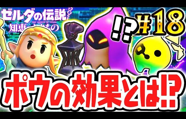 隠されたポウの能力とは!?ゾーラ族とジャブジャブ様の元へ!!最速実況Part18【ゼルダの伝説 知恵のかりもの】