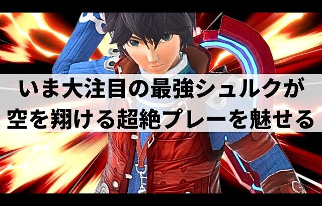 【スマブラSP】自由自在に空を翔ける最強シュルクが奇想天外な超絶プレーを魅せる【アキオ シュルク/ハイライト】