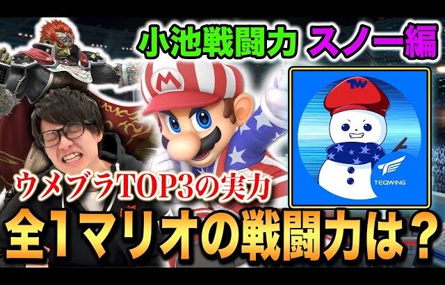 【スマブラSP】遂に全1『スノー』マリオが小池戦闘力で初計測！【スマブラ スイッチ】