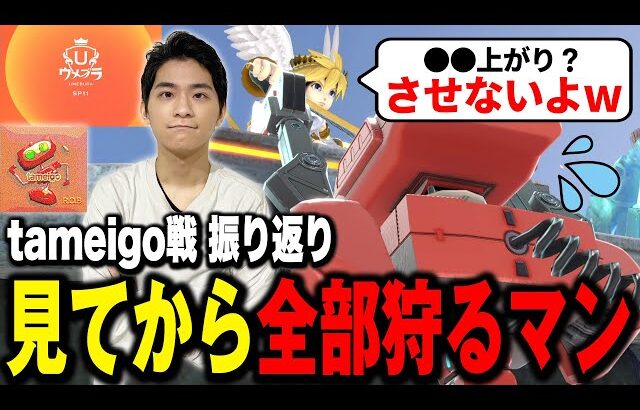 【ウメブラSP11】確認の申し子ザクレイの意識配分を教えます【スマブラSP】