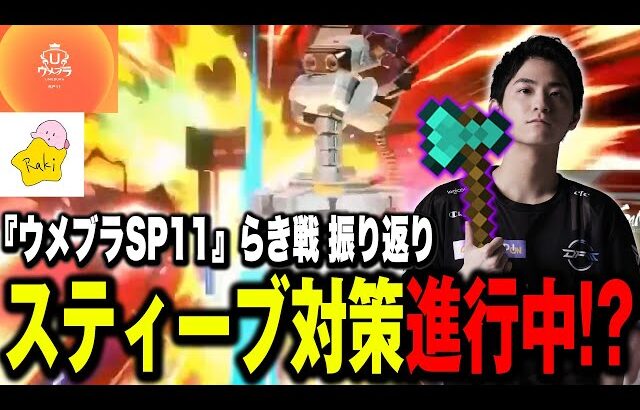 【ウメブラSP11】実はザクレイのスティーブ対策は進んでる！？次に当たるならピット？ロボット？【スマブラSP】