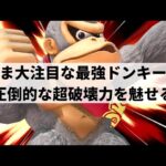 【スマブラSP】天才的即死コンボも炸裂!?圧倒的な攻撃力で破壊の限りを尽くす最強ドンキーコング【マイルドなH.O ドンキーコング/ハイライト】