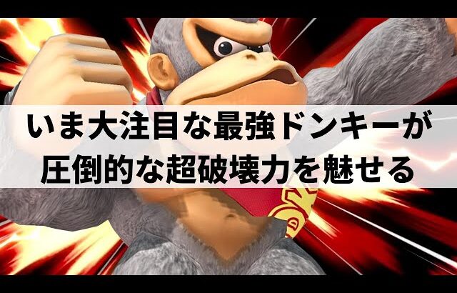 【スマブラSP】天才的即死コンボも炸裂!?圧倒的な攻撃力で破壊の限りを尽くす最強ドンキーコング【マイルドなH.O ドンキーコング/ハイライト】