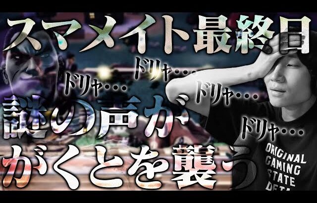 【ﾄﾞﾘｬ】レート2400挑戦中に”とあるキャラ”と4連続でマッチングするがくと【スマブラSP】