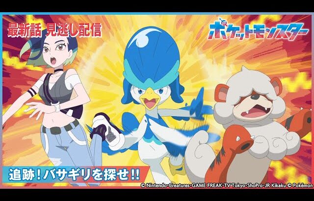 【公式】アニメ「ポケットモンスター」第72話 「追跡！バサギリを探せ！！」-期間限定配信-