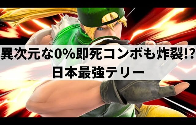 【スマブラSP】正確無比な操作精度から圧倒的超火力コンボを叩き込む日本最強テリー【いーじす テリー/ハイライト】