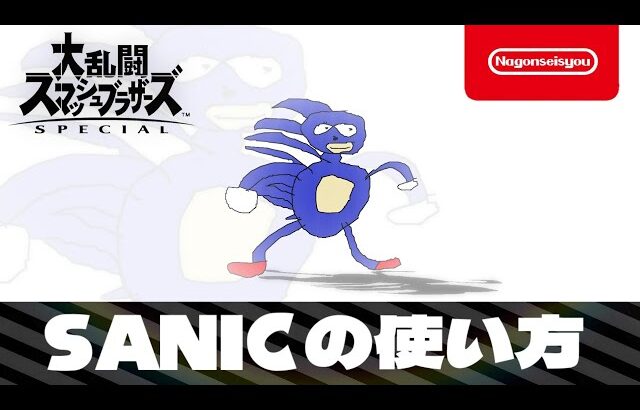 【スマブラSP】SANICの使い方