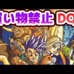 #2【年末年始企画】買い物禁止縛りでクリアするDQ6【ドラクエ6】