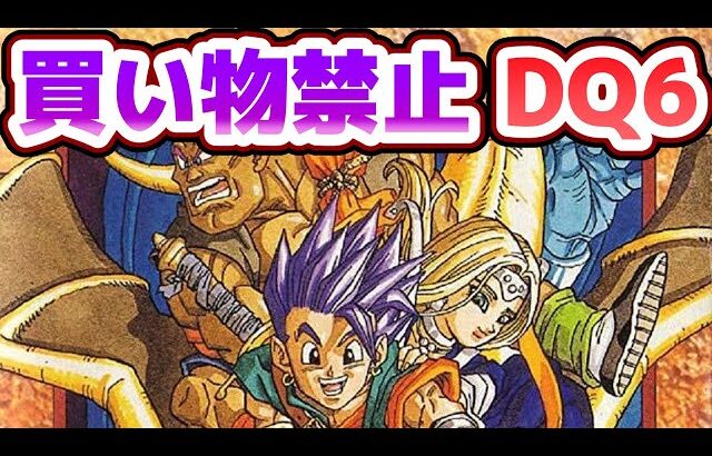 #2【年末年始企画】買い物禁止縛りでクリアするDQ6【ドラクエ6】