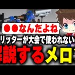 「なぜリッターが大会では使われないのか」その理由を解説するメロン【メロン/スプラトゥーン3/切り抜き】