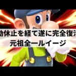 【スマブラSP】帰ってきた元祖全一!?理解不能なルートから異次元なコンボを魅せる最上位ルイージ【ネイビー ルイージ/ハイライト】