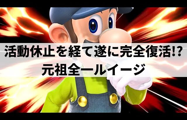 【スマブラSP】帰ってきた元祖全一!?理解不能なルートから異次元なコンボを魅せる最上位ルイージ【ネイビー ルイージ/ハイライト】