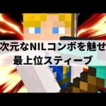 【スマブラSP】圧倒的な操作精度で当たり前のようにNILコンボを決める最上位スティーブ【らき スティーブ/ハイライト】