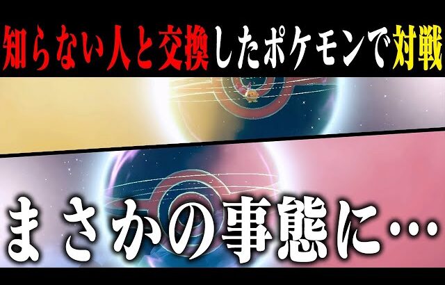 【マジカル対戦】ネットの海から最強ポケモンを引き当ててバランス大崩壊ｗｗｗ年末最後の運試しバトルでポケモン廃人が激闘を繰り広げます