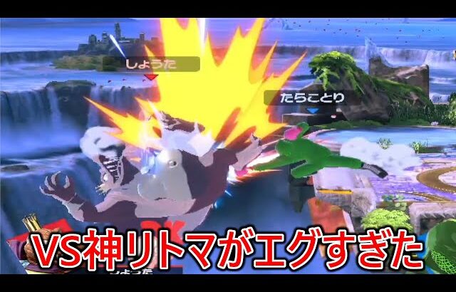 戦闘力神のリトマとの闘いがエグすぎた【スマブラSP】