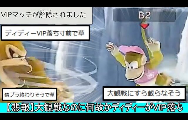 【悲報】大観戦をしていたはずなのに何故か俺のディディーコングがVIP落ちしてしまう【スマブラSP】