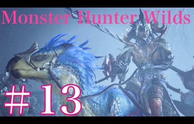 #13 MONSTER HUNTER WILDS