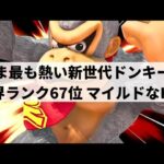 【スマブラSP】新世代ドンキーの快進撃が止まらない!?いま大注目な世界最強ドンキーが超破壊力を魅せる【マイルドなH.O ドンキーコング/ハイライト/#2】