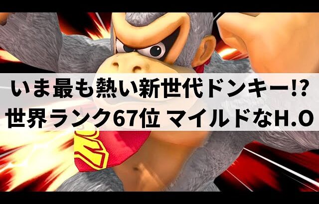 【スマブラSP】新世代ドンキーの快進撃が止まらない!?いま大注目な世界最強ドンキーが超破壊力を魅せる【マイルドなH.O ドンキーコング/ハイライト/#2】