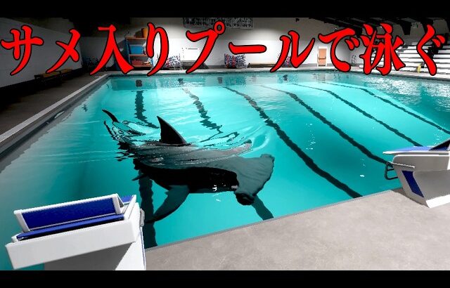トラウマになる「殺人サメがいるプールを泳いで脱出するホラーゲーム」【Sharks and Minnows】