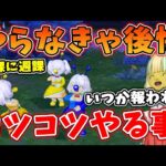ドラクエ10 必ず報われる！コツコツやるとお得な事を解説！日課にするならこれをやれ！