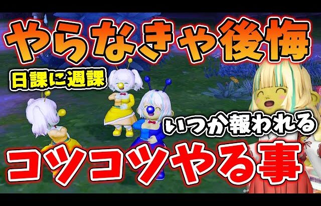 ドラクエ10 必ず報われる！コツコツやるとお得な事を解説！日課にするならこれをやれ！