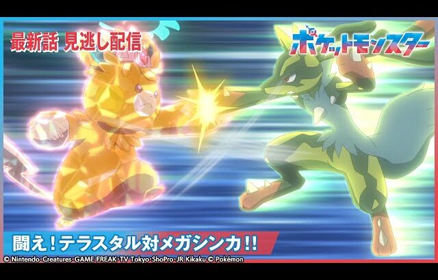【公式】アニメ「ポケットモンスター」第101話 「闘え！テラスタル対メガシンカ！！」-期間限定配信-