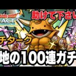 【ドラクエタクト】助けて下さい。『プチターク』意地の１００連ガチャ！！【DQT】