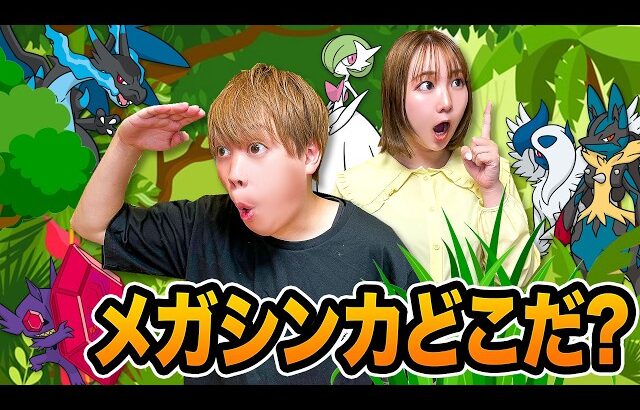 メガシンカするポケモンを探せ！スタジオに隠れているメガシンカするポケモンはどれ？ポケモンとの強いキズナで進化を超えた進化をさせよう！