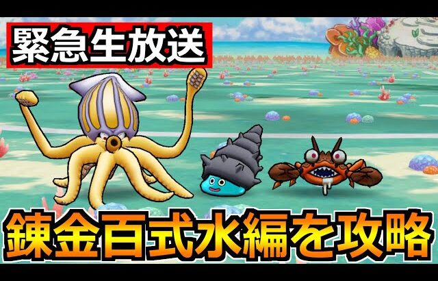【ドラクエウォーク】錬金百式水編の安定攻略法を探求！1ターン攻略を目指して！！