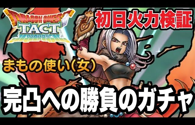 【ドラクエタクト】初日最速火力検証『まもの使い（女）』完凸賭けた勝負のガチャ！！【DQT】