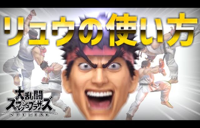 【スマブラSP】リュウの使い方